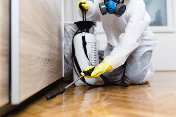 Best Affordable Pest Control Services  in Belleair Bluffs, FL